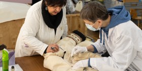 611766411_1378489920743128_5679553353320079782_n