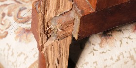IMG_0779