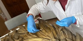 IMG_20250408_164209_309