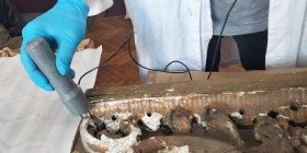 IMG_20250625_140408_393