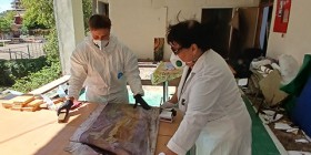 IMG_20250818_160746_280
