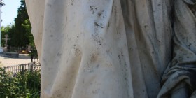 IMG_2142