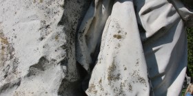 IMG_2145