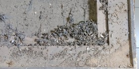 photo_2025-11-06_17-12-57