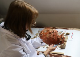 У центрі уваги – унікальні археологічні предмети зі Львівщини