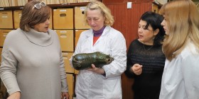 Прилуки_2025_001